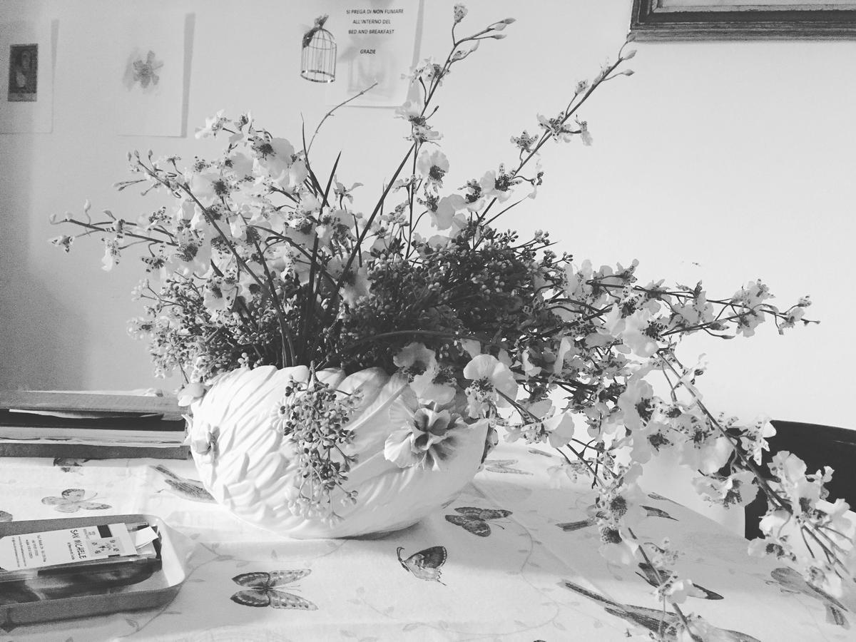 Bed And Breakfast San Michele ปิซา ภายนอก รูปภาพ