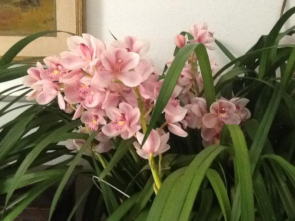 Bed And Breakfast San Michele ปิซา ภายนอก รูปภาพ